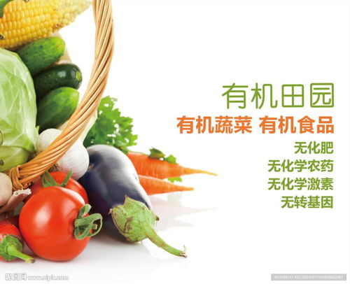 有机蔬菜与珠宝首饰 绿色健康与璀璨优雅的视觉盛宴