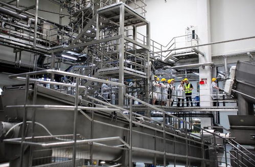 深入普瑞纳工厂 雀巢加速推进冠能宠物食品创新与生产